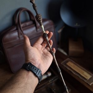 Elder Wand Main Pic